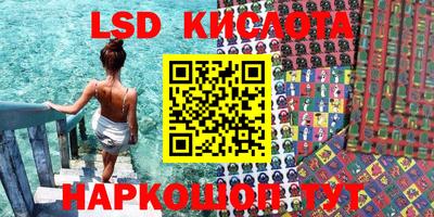 ПСИЛОЦИБИНОВЫЕ ГРИБЫ Тверь